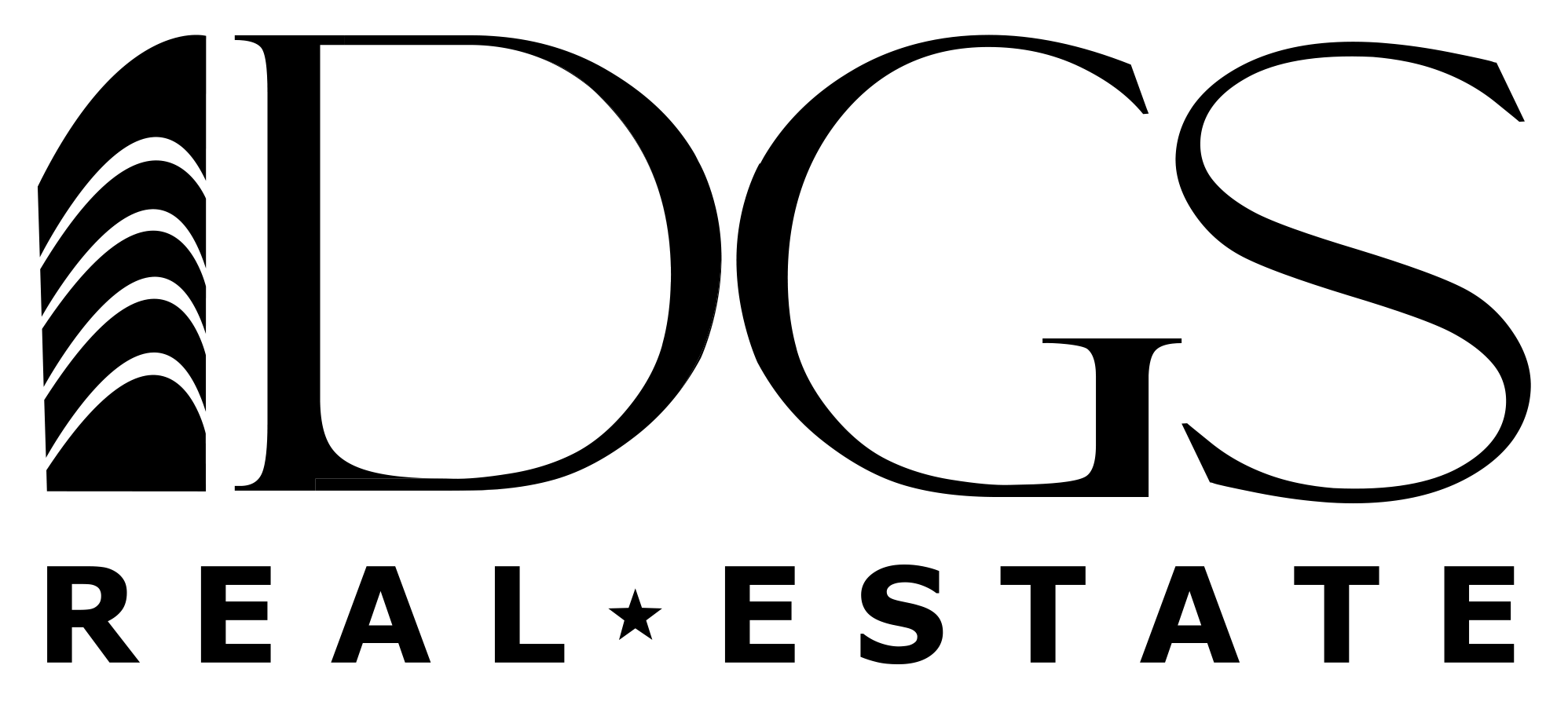 DSG Real Estate 