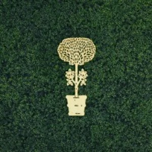 Janus et Cie