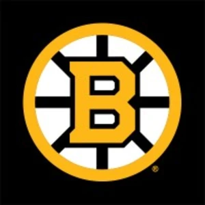 Boston Bruins