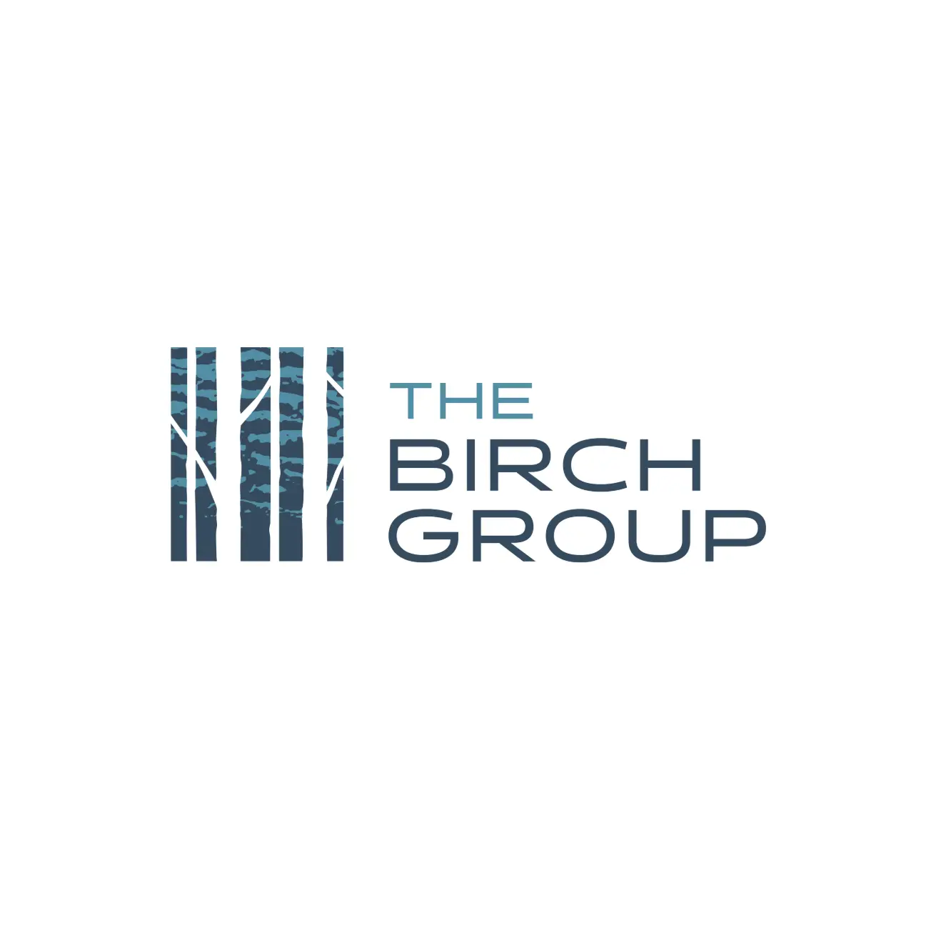 The Birch Group