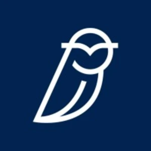 Blue Owl 