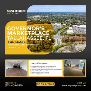 Mishorim Gold