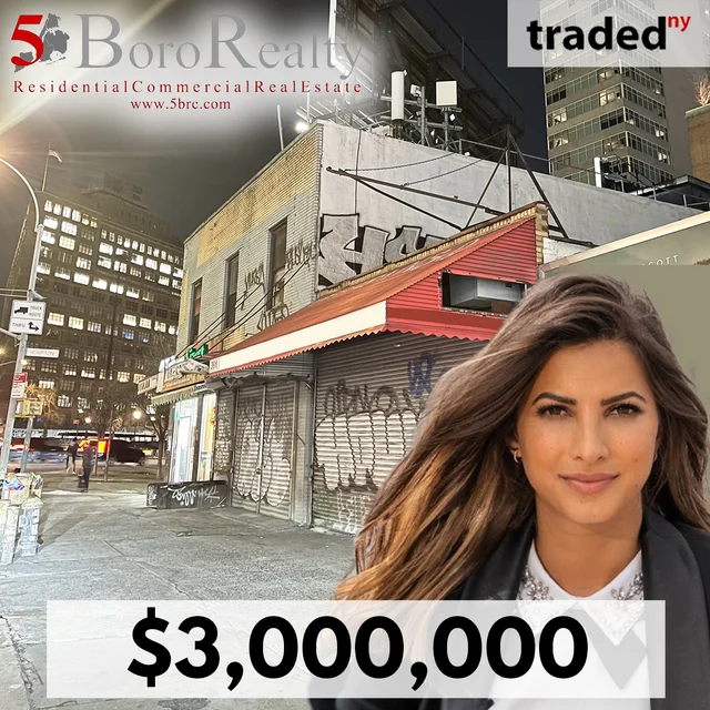 Zdislav David Sells Retail Asset At 391 Canal Street Soho Manhattan For $3M With Nina Sabag