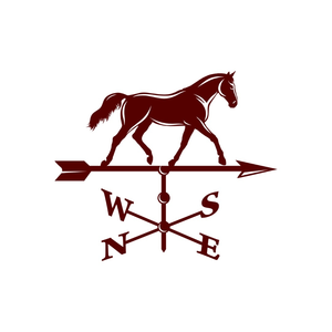 Wellington Equestrian Realty