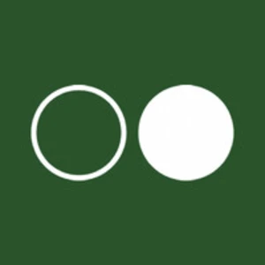 Reflection AI