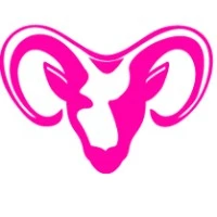 Capricorn Retail Advisors