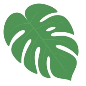 Pau Hana group