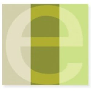 ELYSEE INVESTMENTS