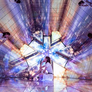 Happy Go Lucky Exhibit