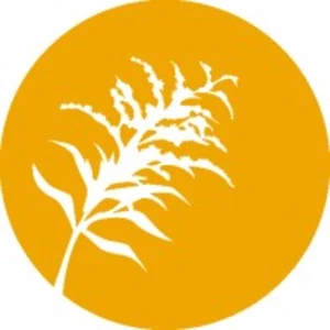 Goldenrod Cos.