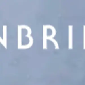 Bainbridge Companies