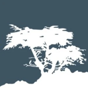 Cypress Capital Group