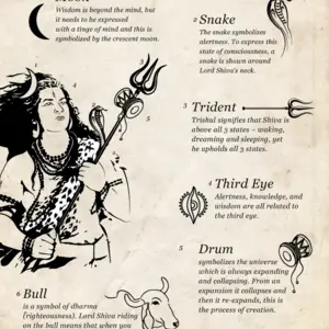 Lord Shivas Properties
