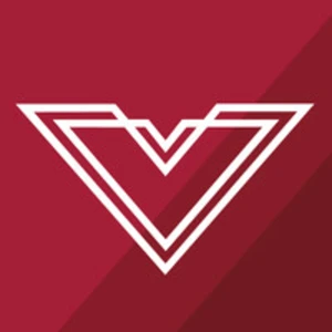 Big V Property Group