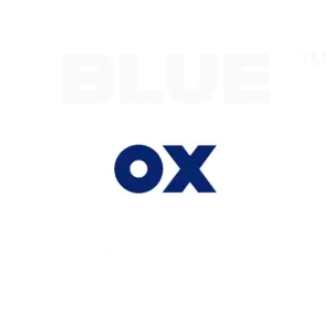 The Blue Ox Group