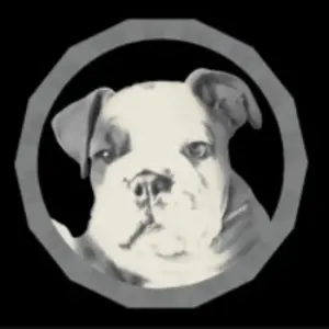 The Boston Realty Group