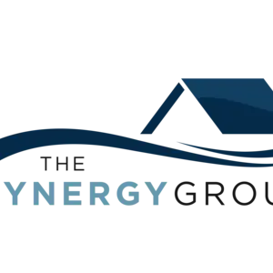 The Synergy Group