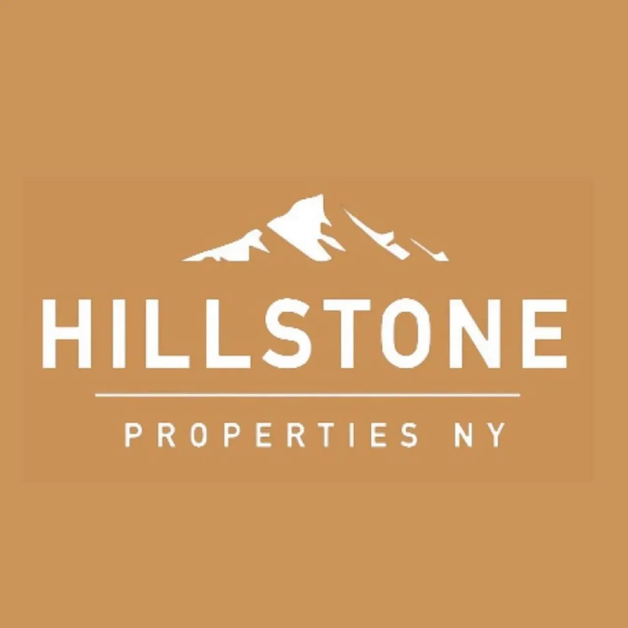  Hillstone Properties NY