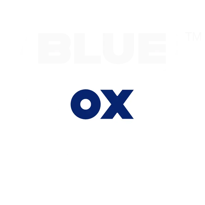 The Blue Ox Group