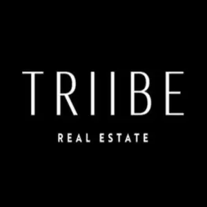 Triibe Real Estate