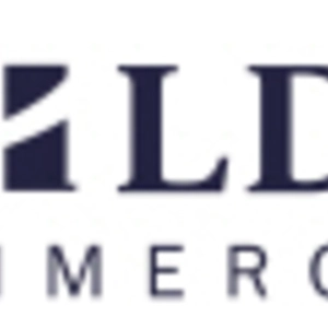 LDM Commercial