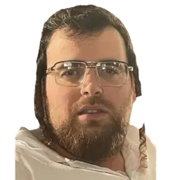 Zevi Fried