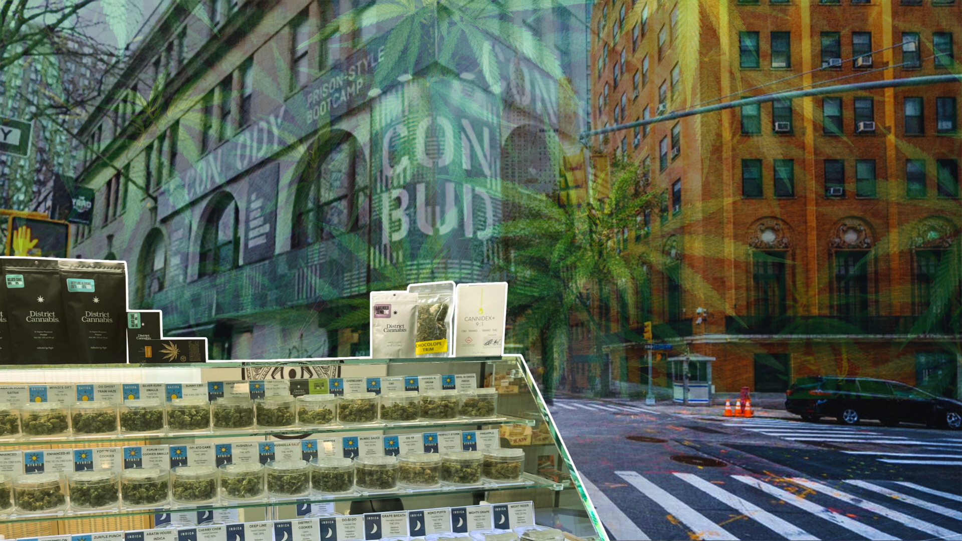 Cannabis Leases in NYC: 6 Risks Landlords Can’t Afford to Overlook
