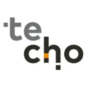 Techo Real Estate