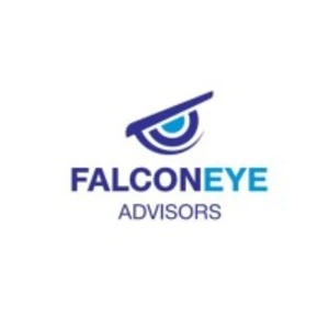 FalconEye Ventures