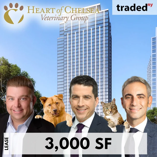 Heart Of Chelsea Veterinary Group Leases 3000 Square Feet At 16 Dupont Street In Greenpoint