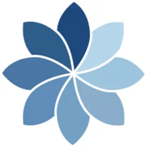 BFC PARTNERS