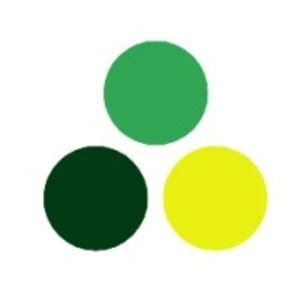 Concord Real Estate Investors